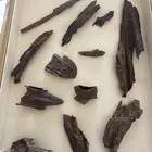 كلمنتان مالينو تربل (تم البيع)