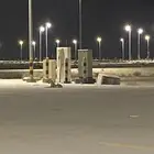سلق مفقود