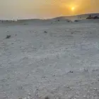 عزبه شمال سوق الغنم بالاحساء