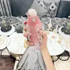 فرخ كوكاتو قالا اليف ولعوب وبداية كلام