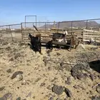 المدينه المنور