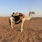 رحول وضحا
