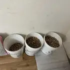 لوز بلدي للبيع