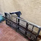 سلة سياره