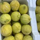 تين بلدي انتاج القطيف ( جملة و مفرد )