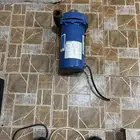 دينمو سمنان امريكي واحد حصان