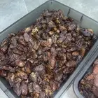 تمر مجدول