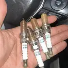 يواجي كرلاء