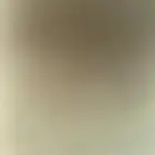 حمام للبيع