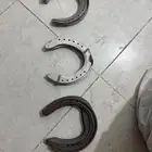 خذاوي للخيل