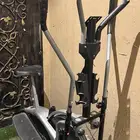 الغزال الطائر