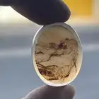 احجار عقيق يمني مصورات نخبه