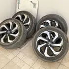 جنوط