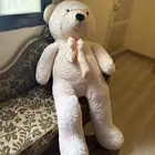 دب للبيع جديد