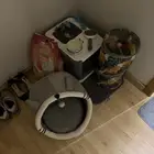 مسلتزمات قطط للبيع