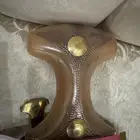 جنبيه حك زراف مشرقي