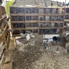 حمام فرنسي امهات جروم