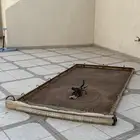 سلة شد الاختيار