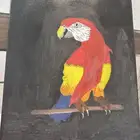 لوحة بغبغاء