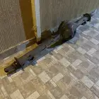 جرم دفرنس ربع