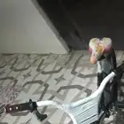 سيكل كوبرا