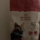 اكل بسي