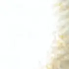 مطلوب في الدمام ارض مساحه مختلفه