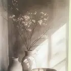 معلن