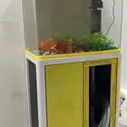 حوض سمك مع اضاءه ليدكامل مع فلتر وأشجار زينه للبيع المدينه