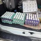 بيض أكل بلدي