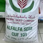 بذور برسيم ك 101 لتواصل واتس