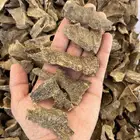 زوايا عود فيتنامي جمله 2100