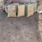 للبيع تمر علف