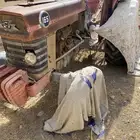 حراثة زراعية على السوم