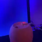 مبخره