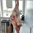 ملحمة صالحة للحوم لاستيراد وتصدير اللحوم المبردة