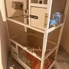 شبك طيور كبير زيبرا بادجي روز