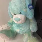 دبدوب كبير سيتي ووك