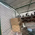 شبك حمام 2 2 مع الحمام