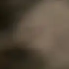 احتاج ارانب ضروري