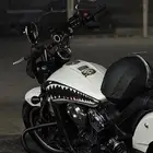 INDIAN SCOUT 2021 pearl white smoke