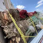 فسايل خلاص طيبه