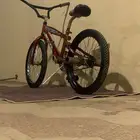سيكل كوبرا السعر100