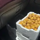 عجوة ورىثانة