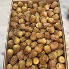 تمر سكري مفتل وجالكسي