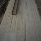شينكو ساندوتش بنل (24 متر )
