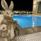 استراحة فاخرة للايجار بالعمارية