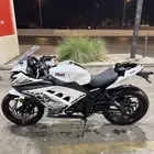 ريس صيني للبيع