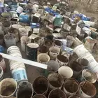 سطول وتنك لحمام