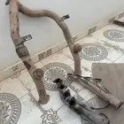 ربع
